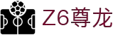 z6尊龙旗舰厅(中国)官方网站